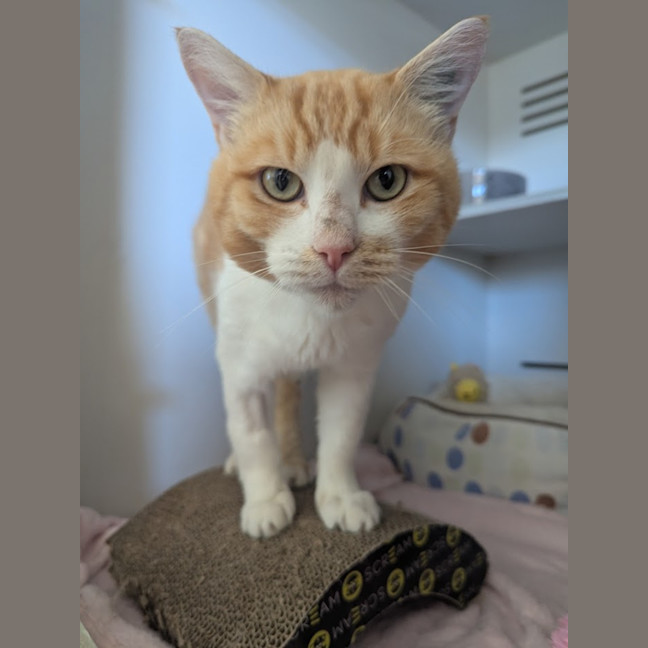 Photo of Fred