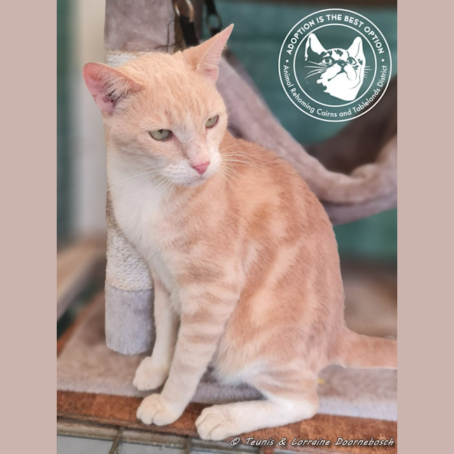 Photo of Eagless And Weston