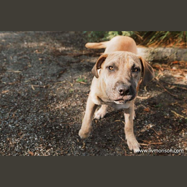 Photo of Liam O’cleary