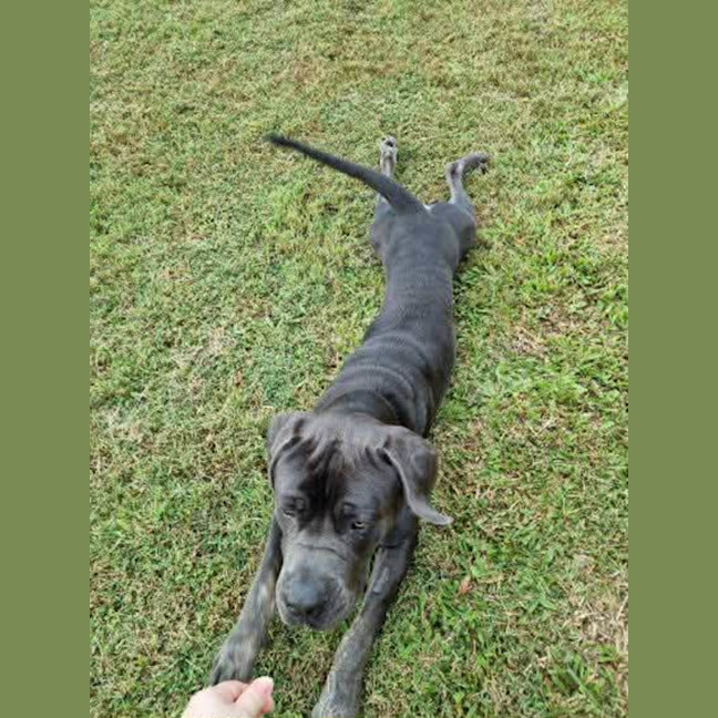 Photo of Clifford