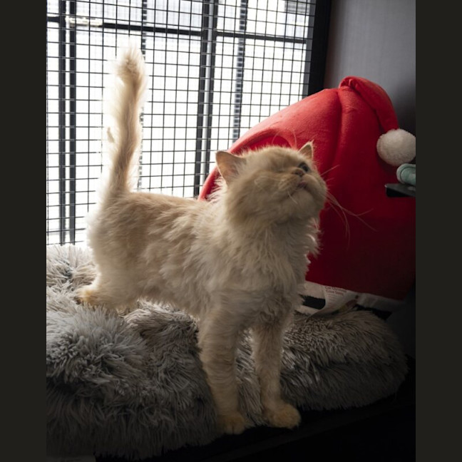 Photo of Sammy