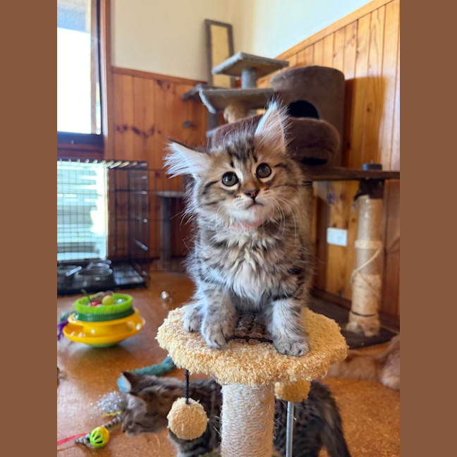 Photo of Samantha