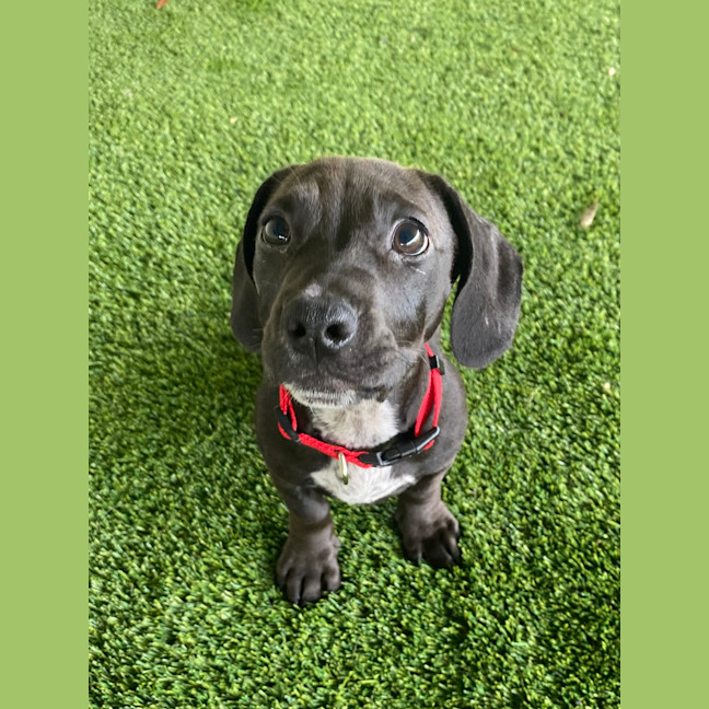 Photo of Murphy