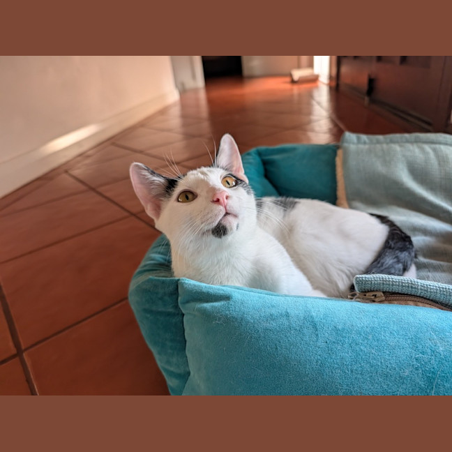 Photo of Ferris