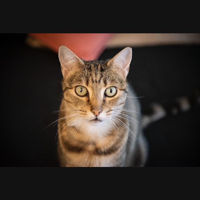 Photo of Pam