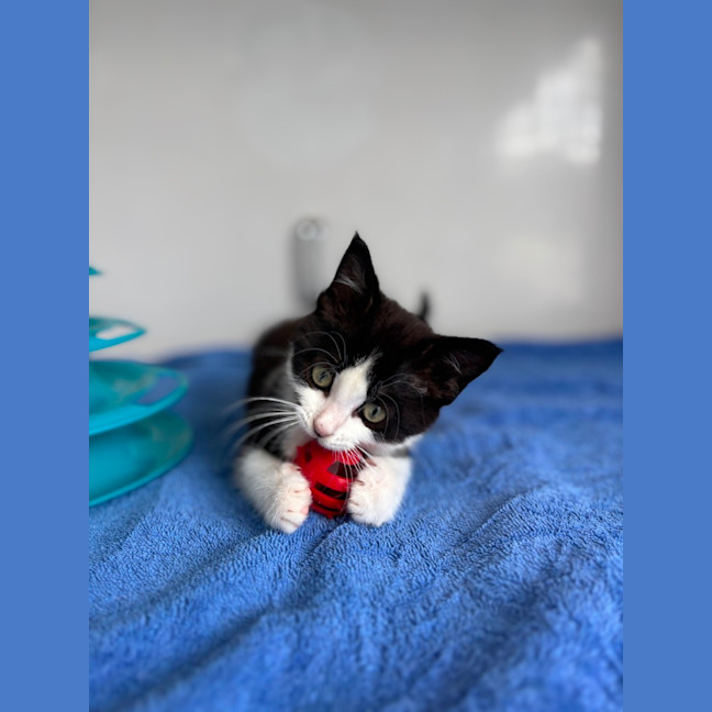 Photo of Chloé
