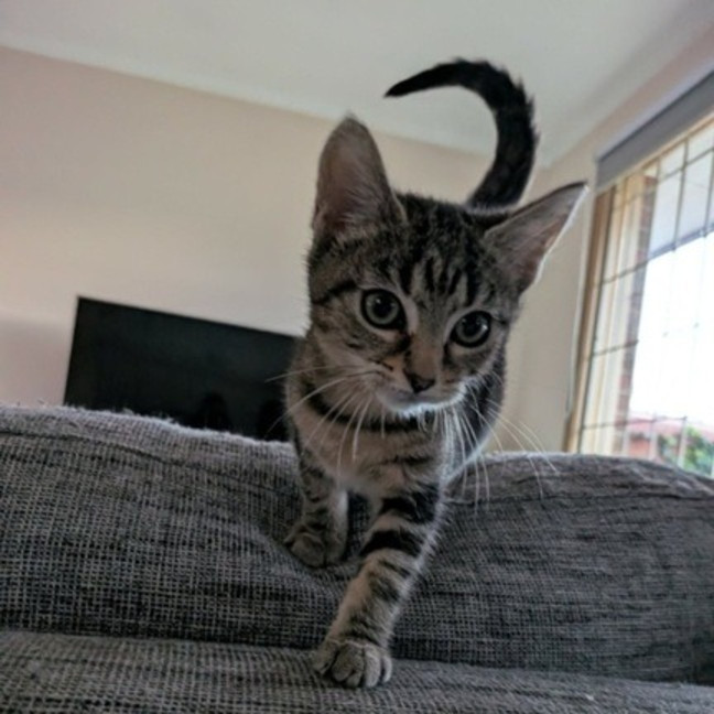 Photo of Tabitha