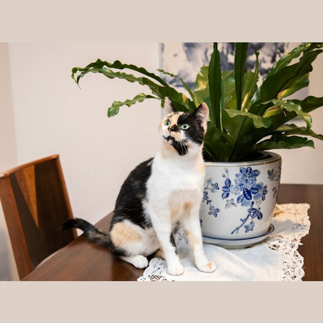Photo of Molly