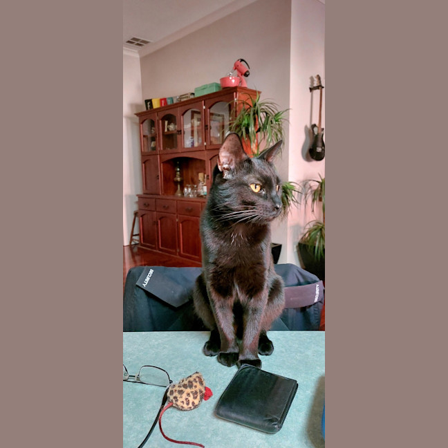 Photo of Salem