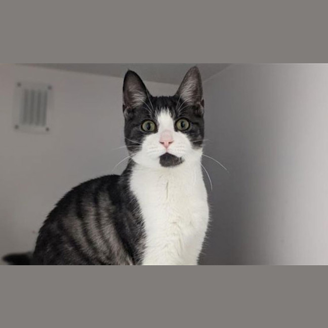 Photo of Ezra