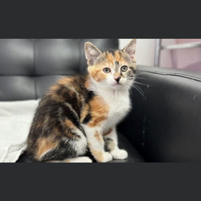 Photo of Zoe