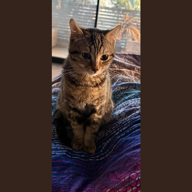 Photo of Velly