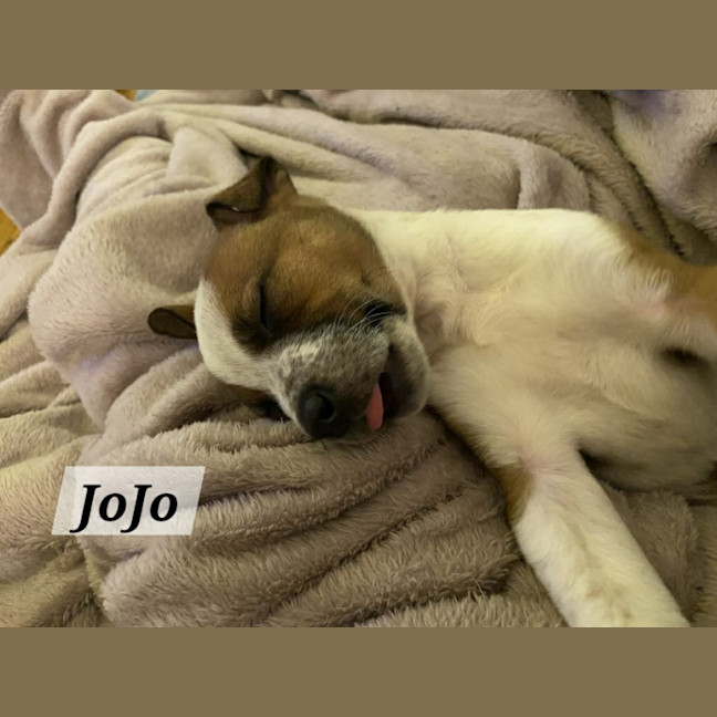 Photo of Jo Jo