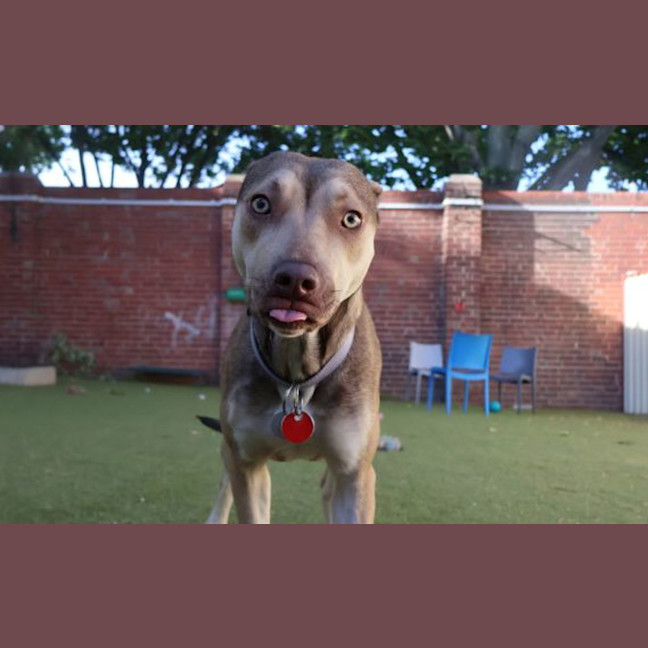 Photo of Queenie