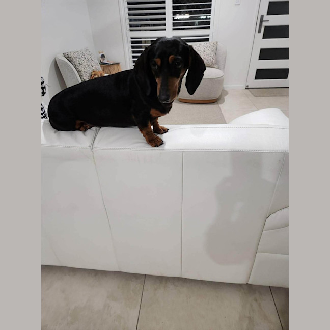 Photo of Tilly