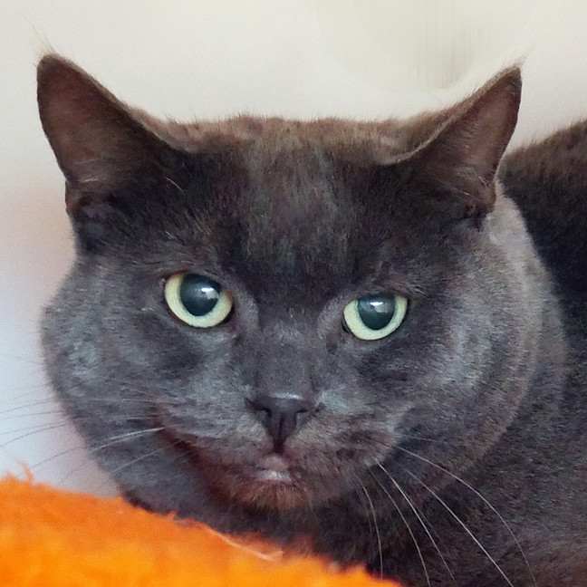 Photo of Arty Sta015109