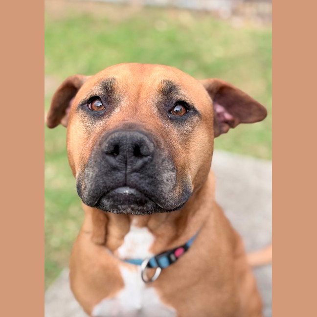 Photo of Abbie