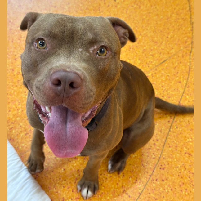 Photo of Jasper
