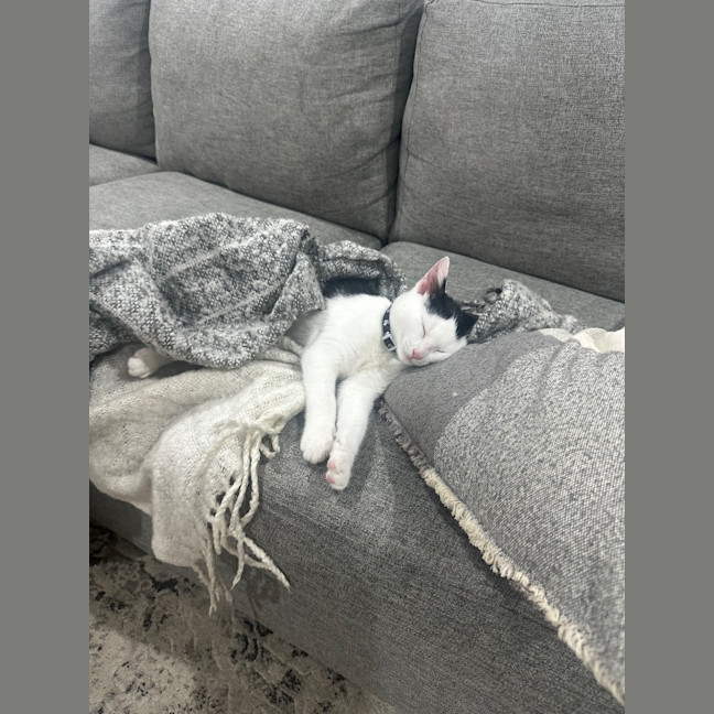 Photo of Mickey