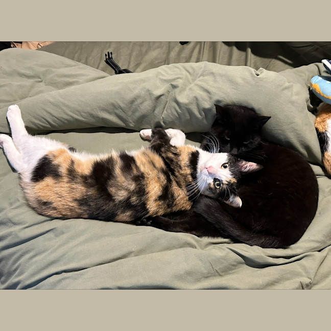 Photo of Maya & Morgan🌻🌼