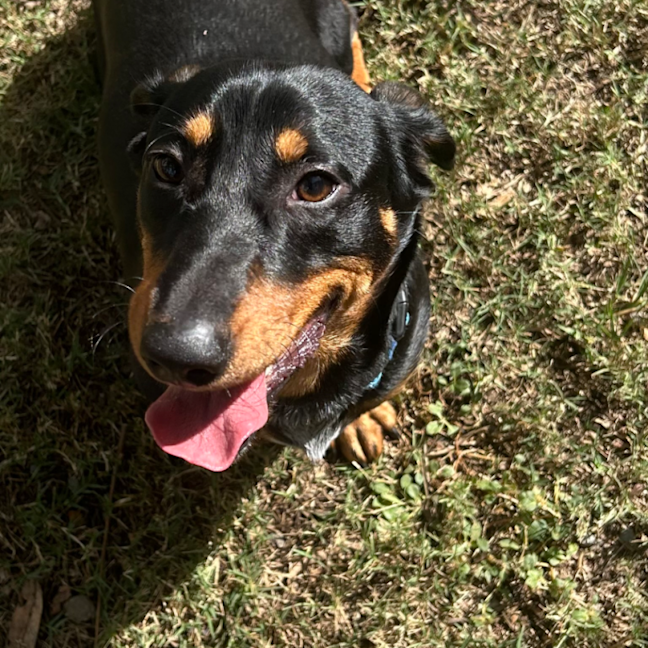Photo of Freddy