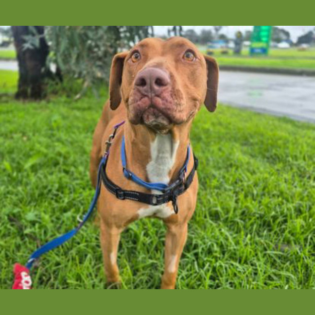 Photo of Bebe