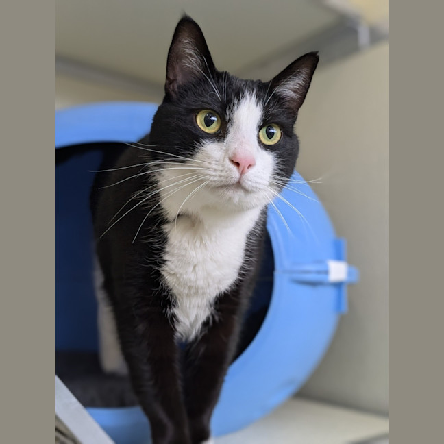 Photo of 🍫 Tim Tam 5572 🍫