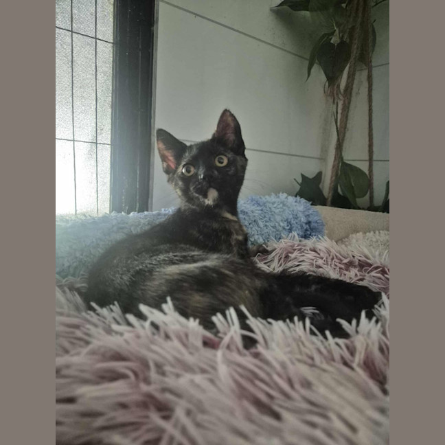 Photo of Sally