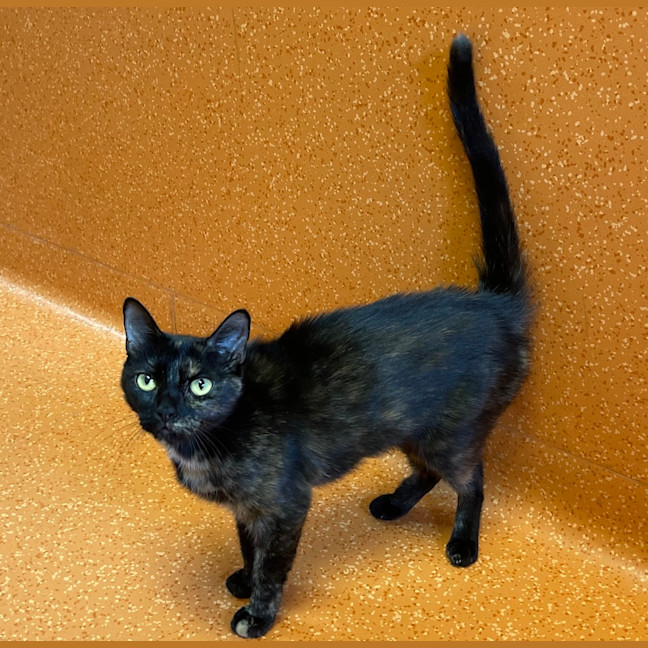 Photo of Evie