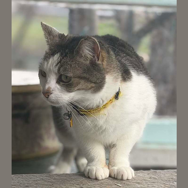 Photo of Cindy