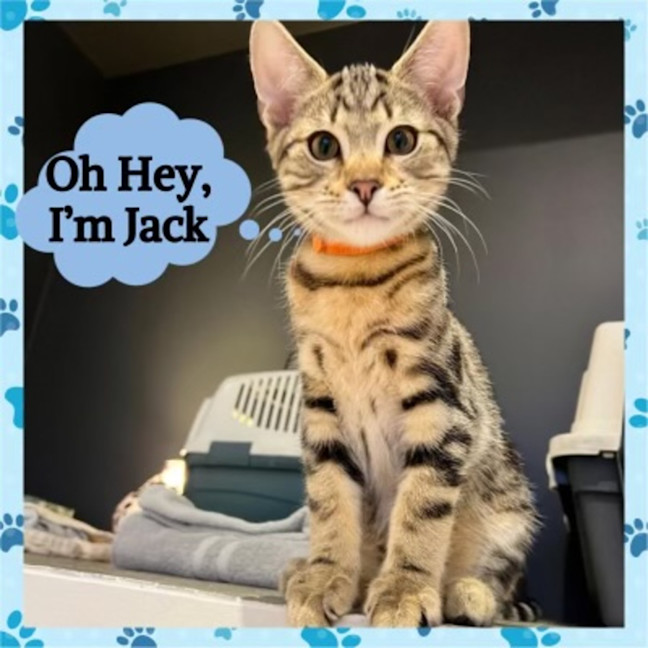 Photo of Jack