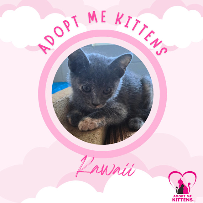 Photo of Kawaii