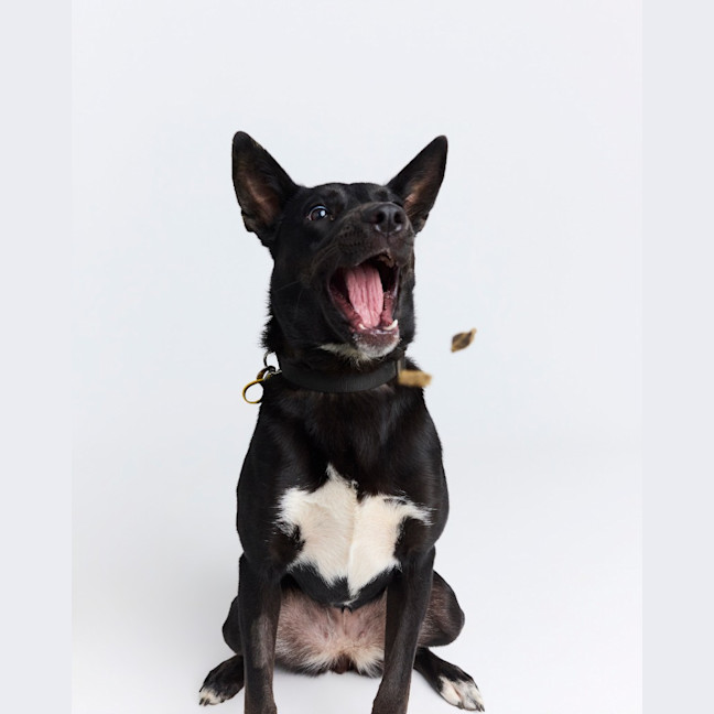 Photo of Sally