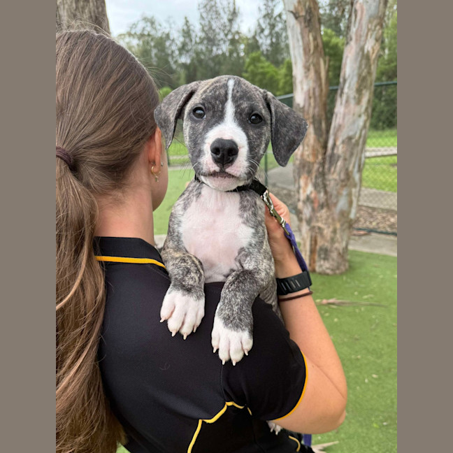 Photo of Warner Bros