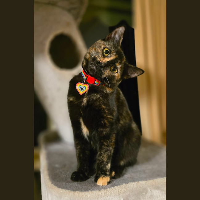Photo of Hazel