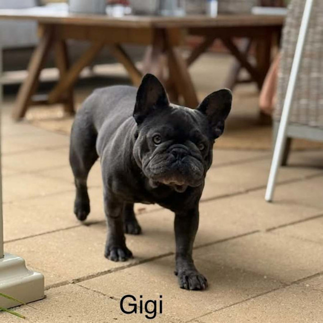 Photo of Gigi