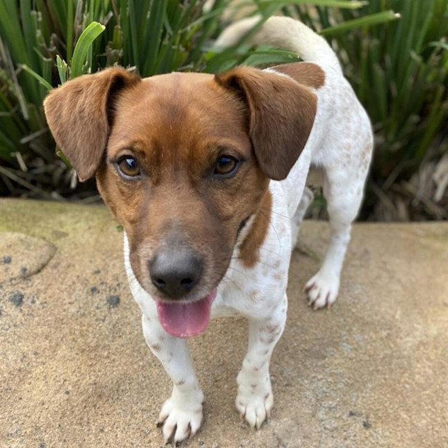 Photo of Max