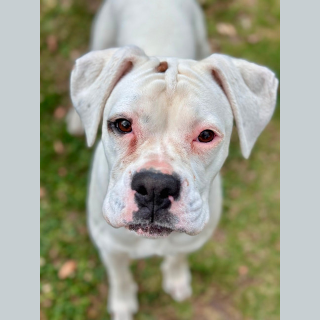 Photo of Lila