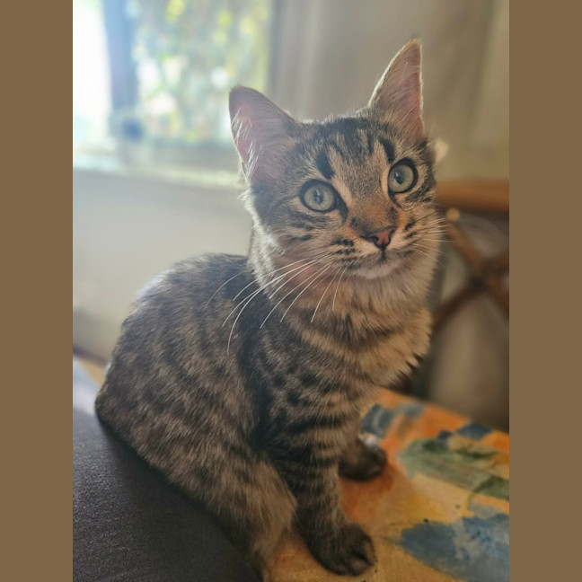Photo of Kiara