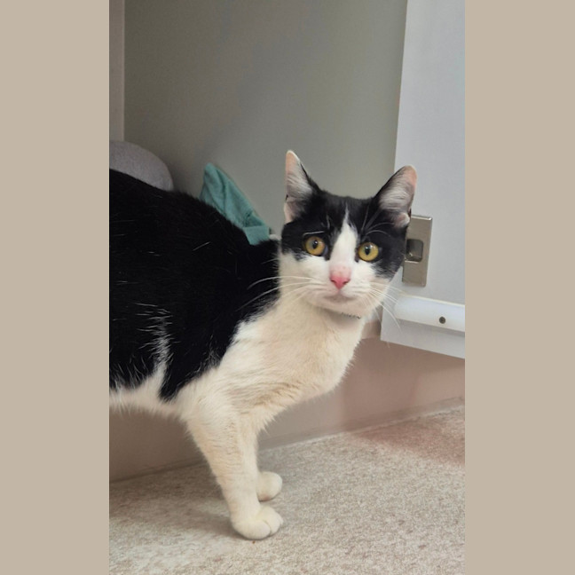 Photo of Gadget (0196)