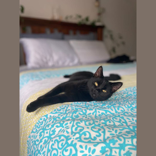 Photo of Delilah 🩷