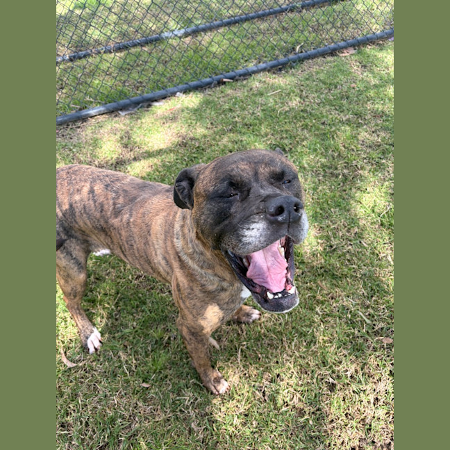 Photo of Cash