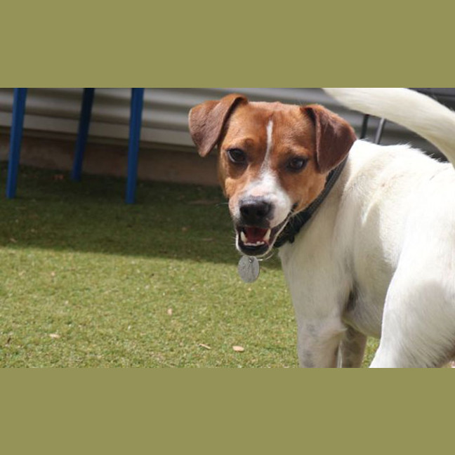Photo of Spike