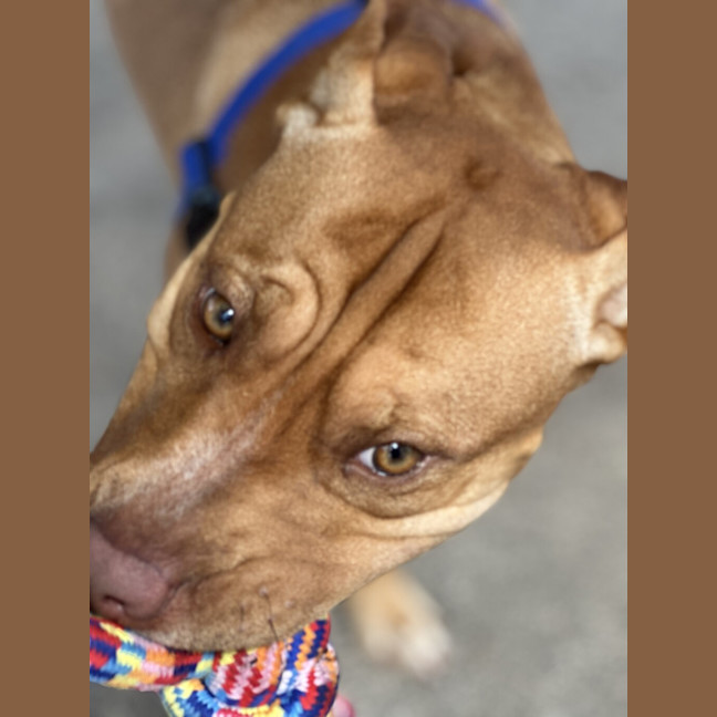 Photo of Ember