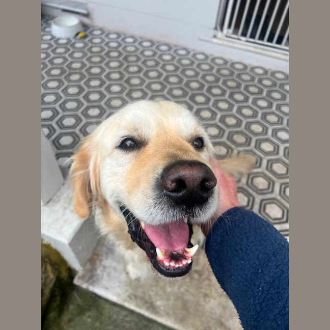 Photo of Digger