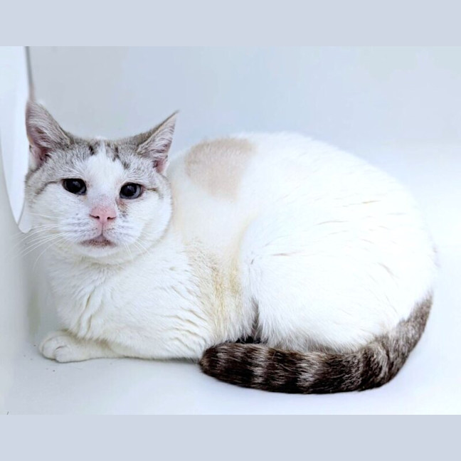 Photo of Elsa