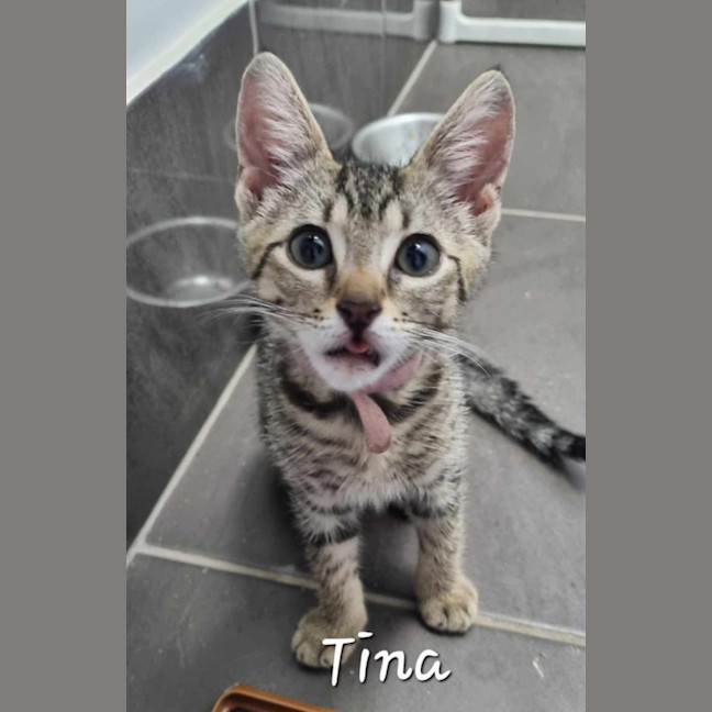 Photo of Tina