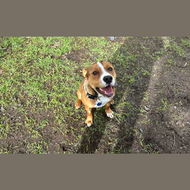 Photo of Hazel