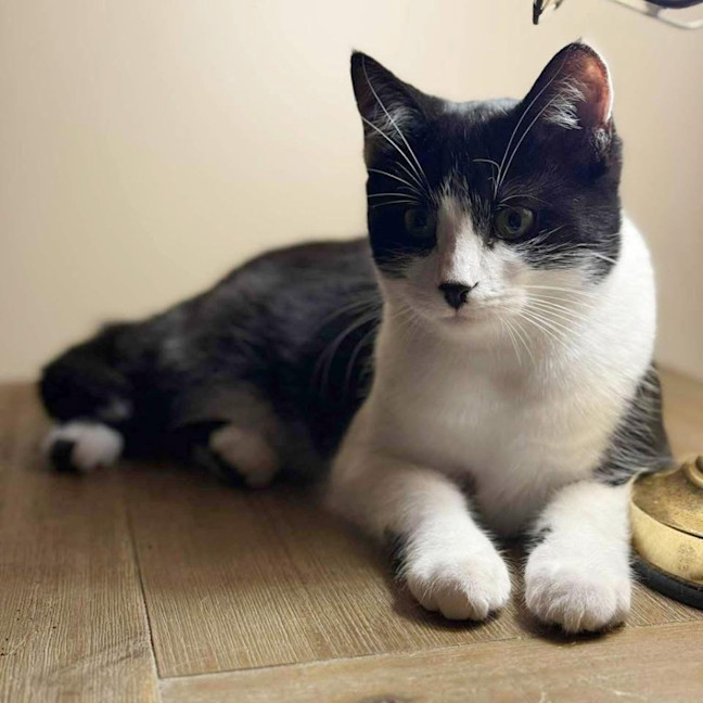 Photo of 12048   Hally