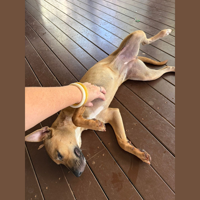 Photo of Josie